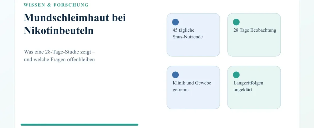 Mundschleimhaut bei Nikotinbeuteln: Was eine neue 28-Tage-Studie zeigt