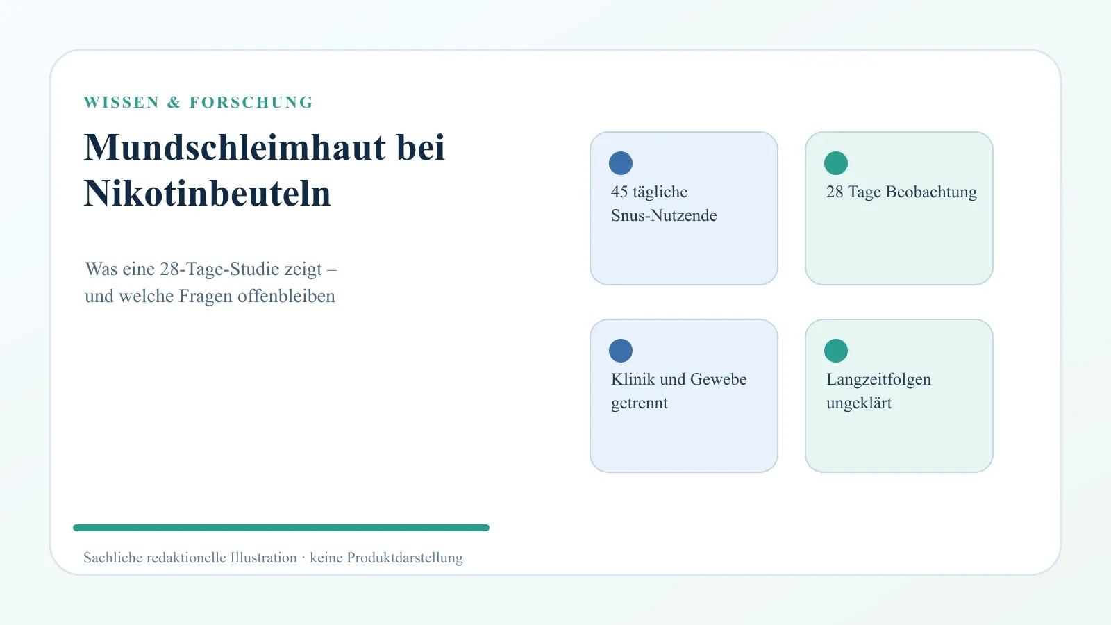 Mundschleimhaut bei Nikotinbeuteln: Was eine neue 28-Tage-Studie zeigt