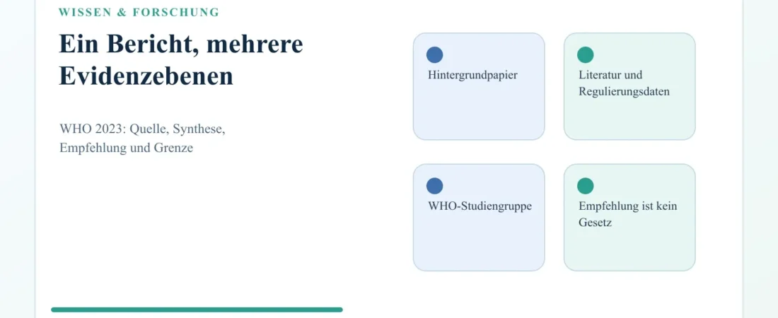 WHO-Studiengruppenbericht 2023: Welche Aussagen zu Nikotinbeuteln er bündelt