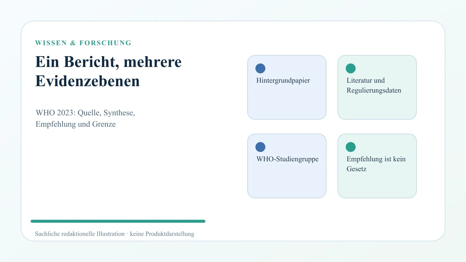 WHO-Studiengruppenbericht 2023: Welche Aussagen zu Nikotinbeuteln er bündelt